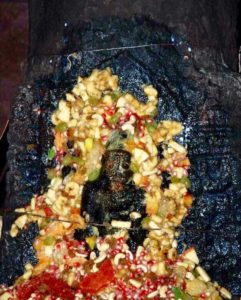 Шри Сваямбху Камбада Йога Нарасимха Свами во время абхишеки.